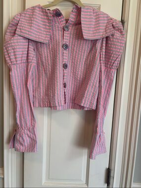 NWT Maeve Striped Pink and Gray Button-Front Crop Blouse